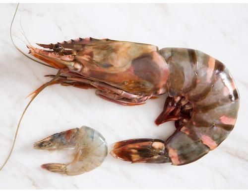 Tiger Prawns