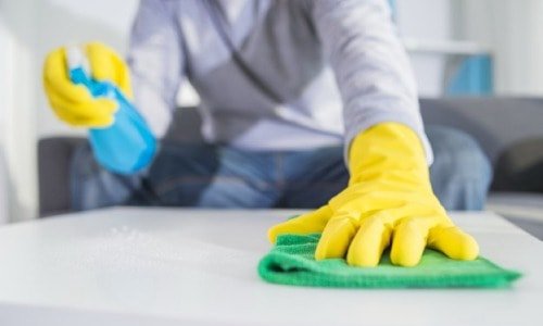 Domestic Housekeeping Services