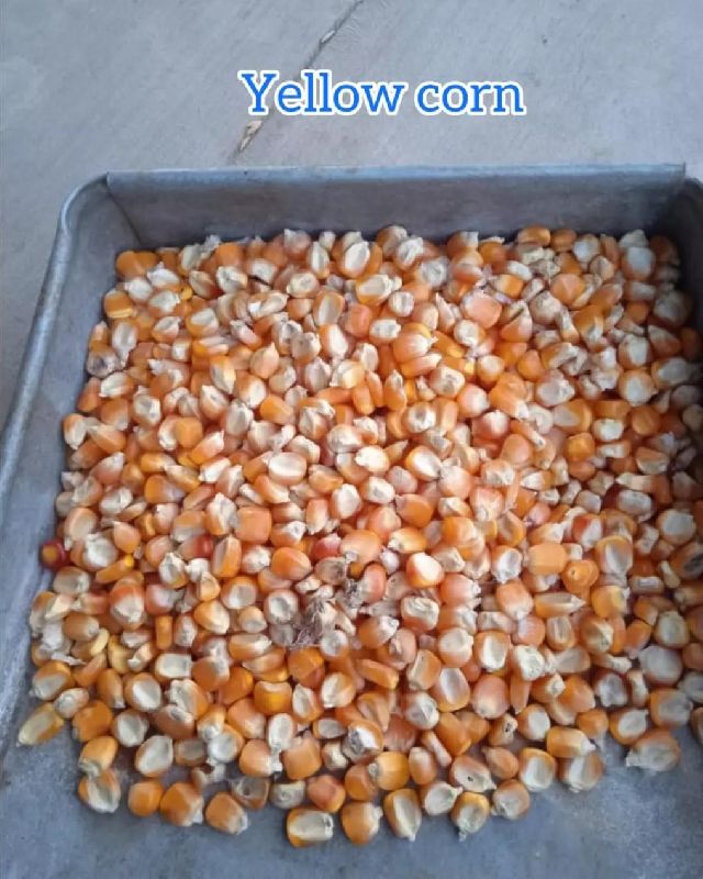 Fresh Vegetables