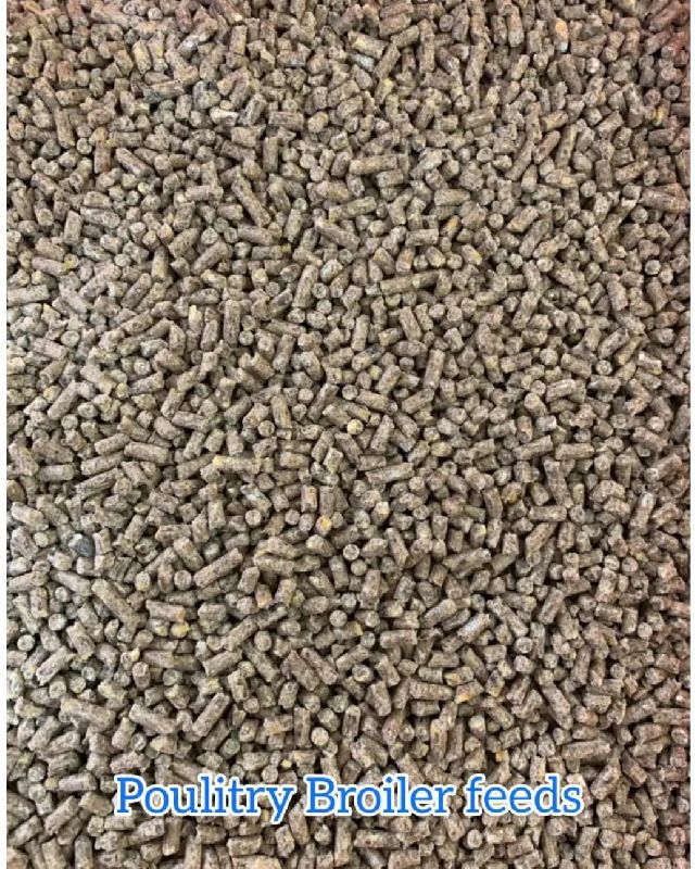Poultry Broiler Feed