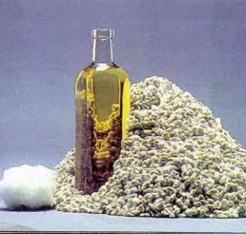 Washed Cotton Seed Oil