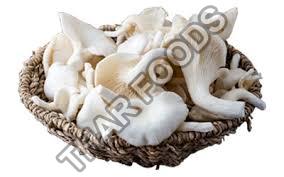 Fresh Oyster Mushroom 02