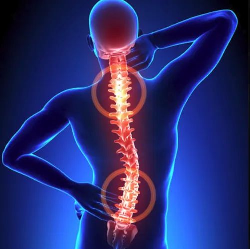 Other Brain and Spine Related Problems