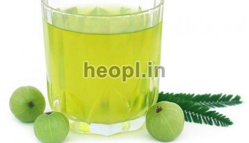 Amla Liquid Extract