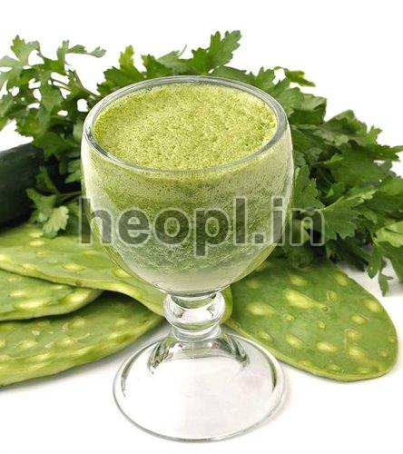 Cactus Liquid Extract