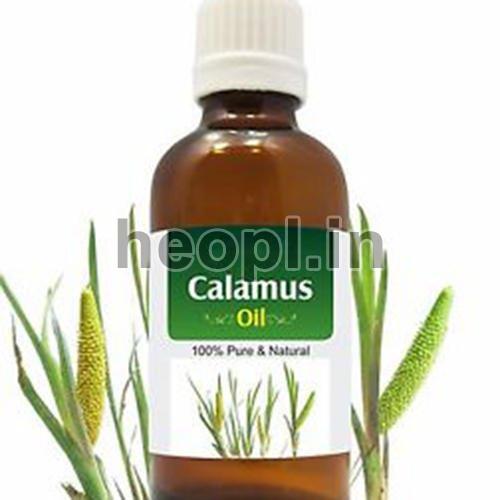 Calamus Oil