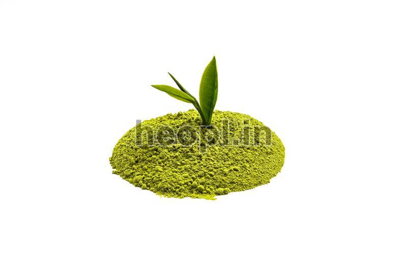 Green Tea Plant Extract
