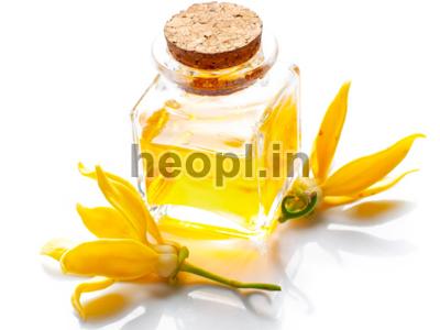 Ylang Ylang Oil