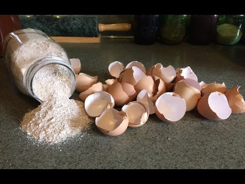 egg shell powder