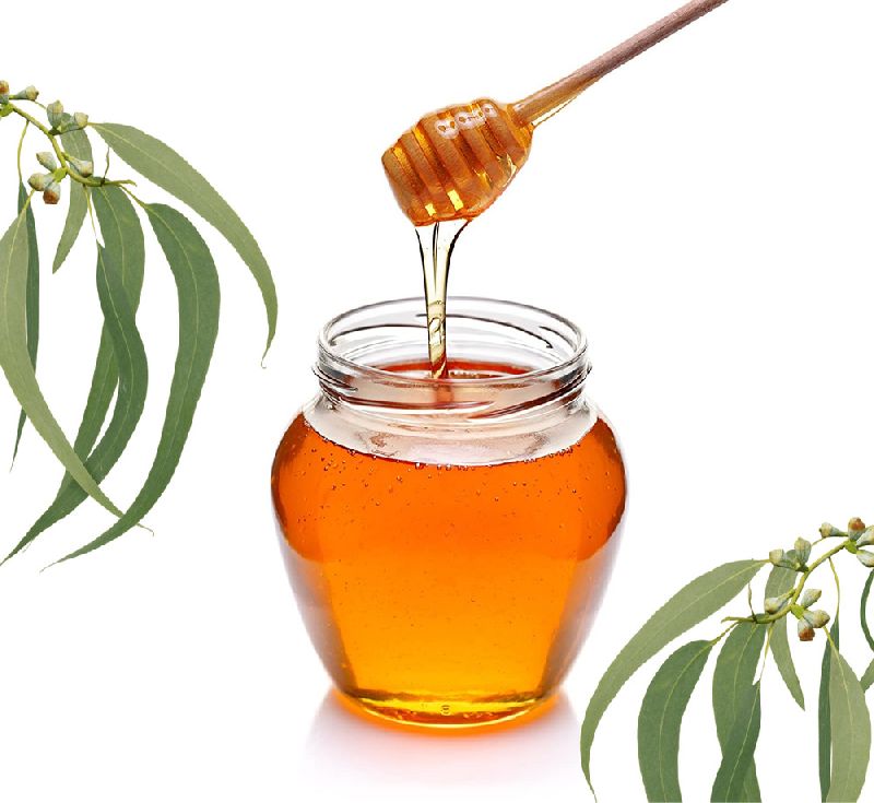 Eucalyptus Honey