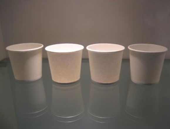 White Paper Cups
