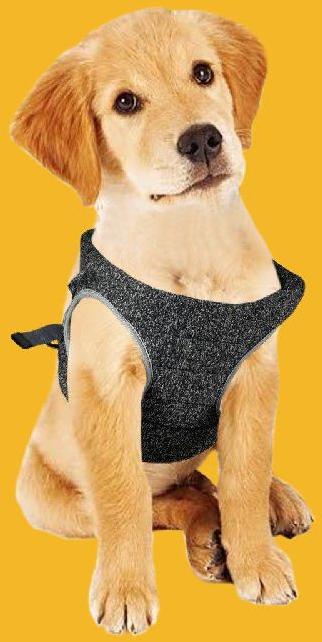 BFF Soft Padded Harness