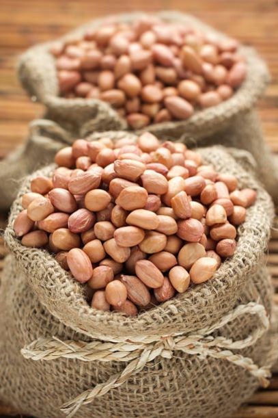 Groundnut Kernels