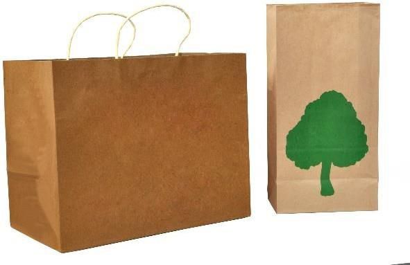 Twisted handle paper bag - Bag manufacturers