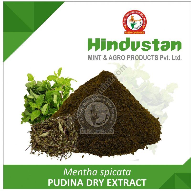 Pudina Dry Extract