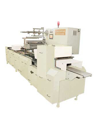 Family Packing Machine Without Amla Feeder