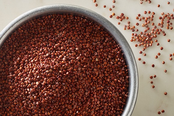 Red Quinoa Seeds , Chenopodium quinoa