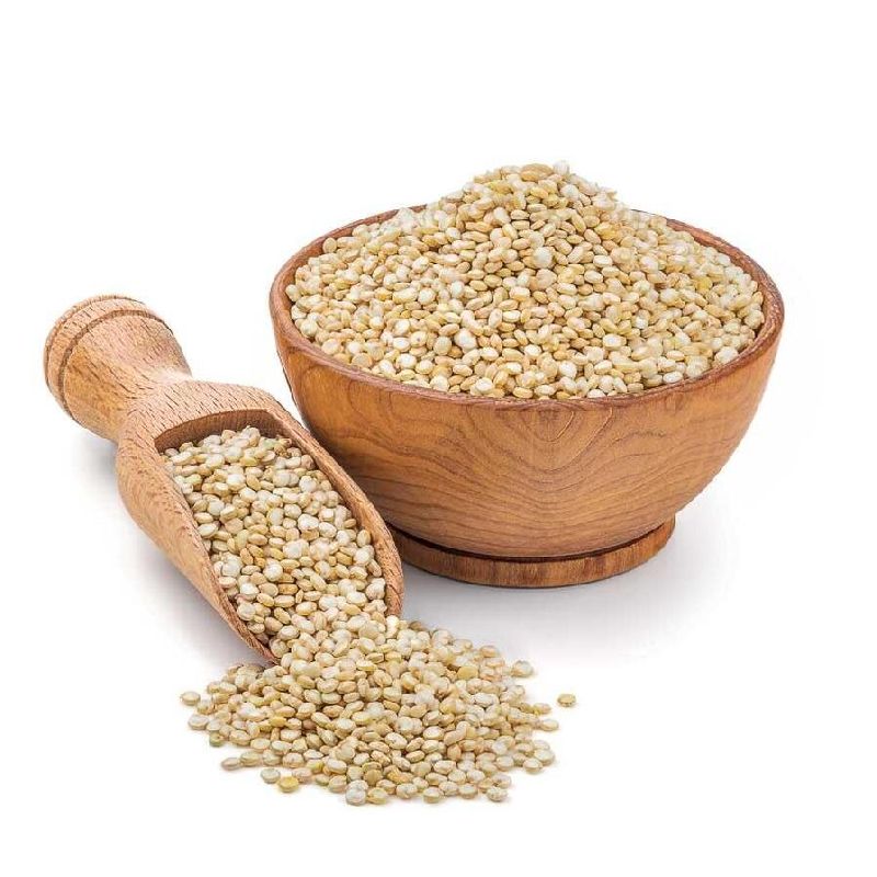 Quinoa seeds , Chenopodium quinoa