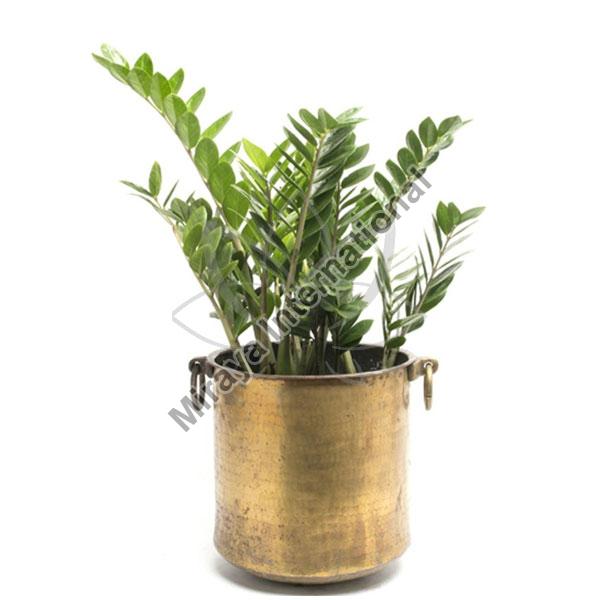 Brass Planter with Handle