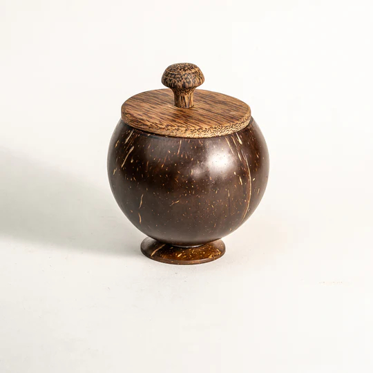 Coconut Shell Container with Lid