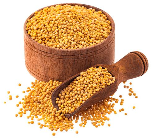 Mustard Seeds