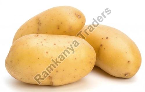 Fresh Big Potato