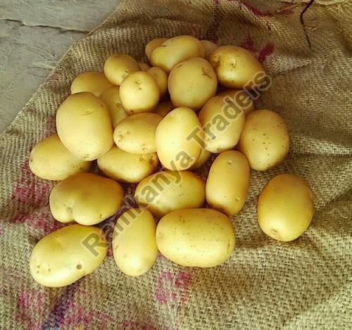 Fresh Kufri Jyoti Potato