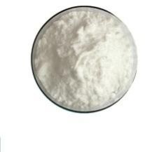 Bifidobacterium Bifidum