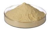Soya Peptone