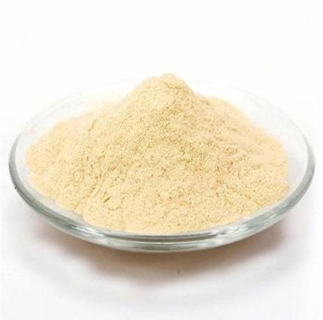 Yeast Peptone