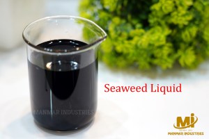 Seaweed Liquid
