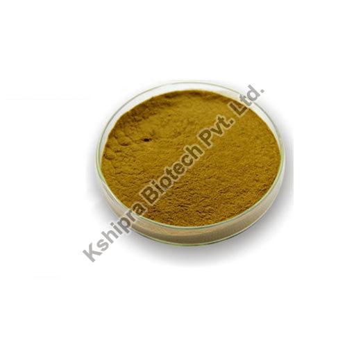 Andrographis Paniculata Extract