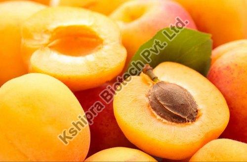 apricot extract