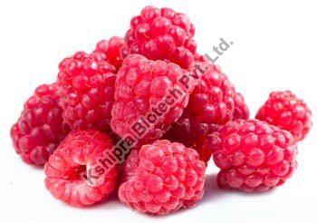 Raspberry Ketone Extract