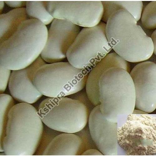 White Kidney Bean Extract