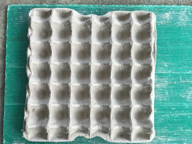 Paper Egg Trays