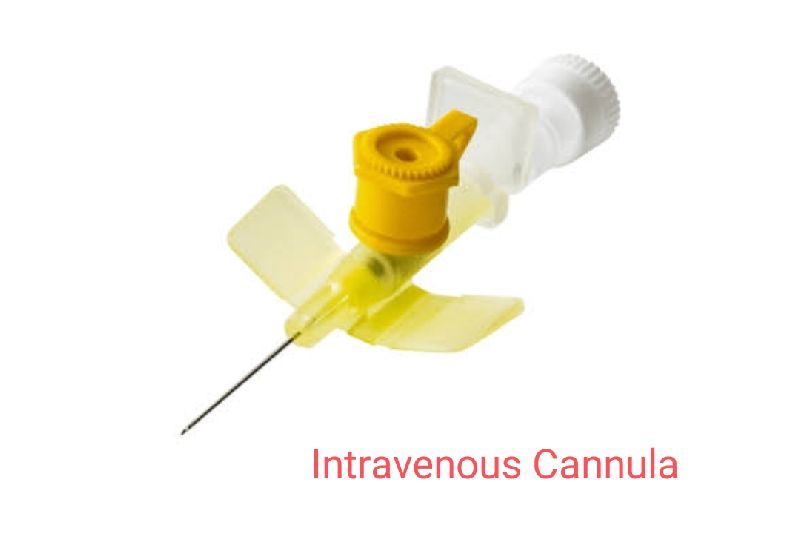 INTRAVENOUS CANNULA