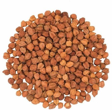 Chana Seeds