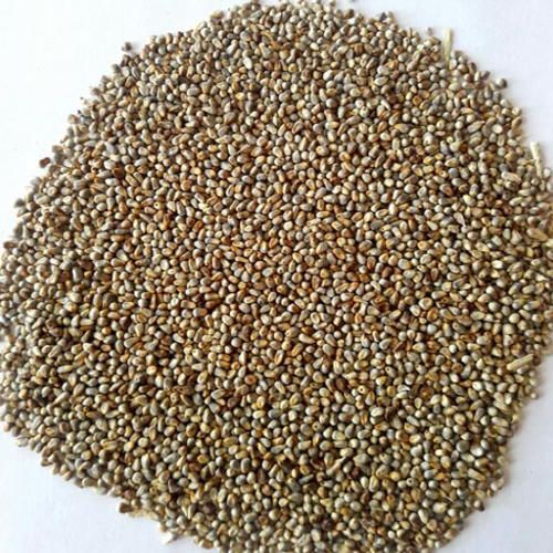 Millet Seeds