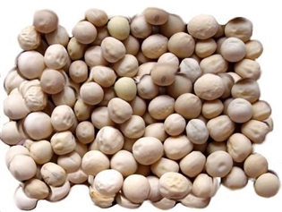 Pea Grain