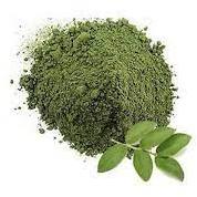 Guava Leaves Powder