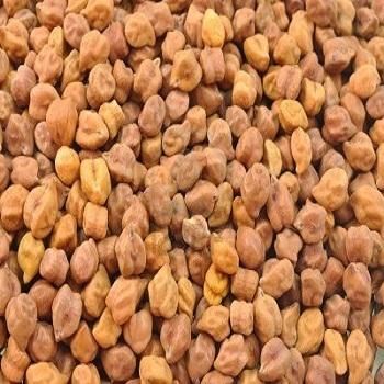 Gram Seeds