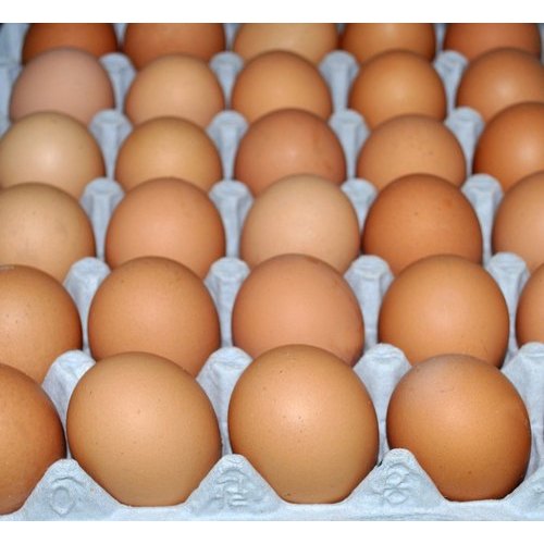 Kadaknath Chicken Egg