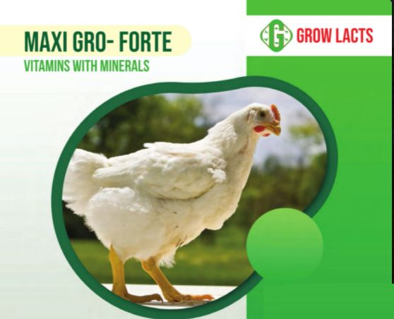 Maxi Grow Forte Feed Premix
