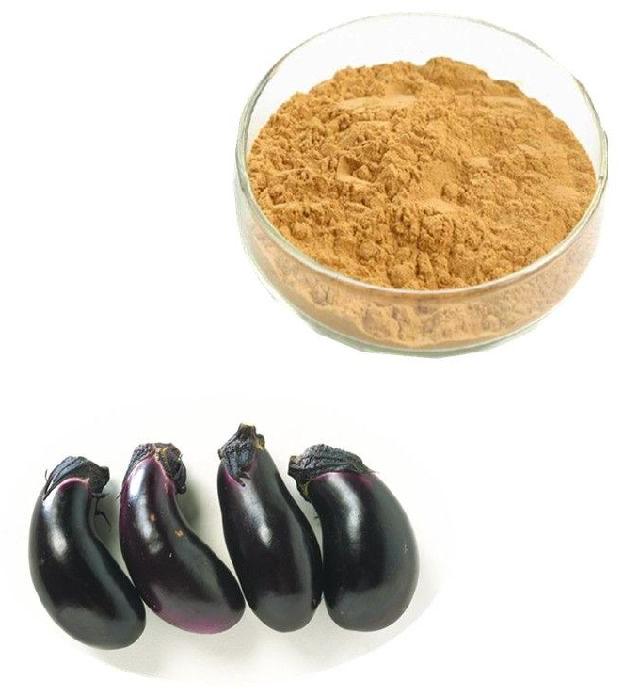 Dehydrated Brinjal Powder