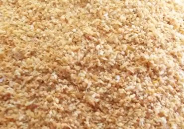 Dehydrated Garlic Granules