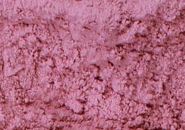 Dehydrated  Red Onion Powder