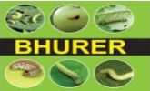 Bhurer Insecticide