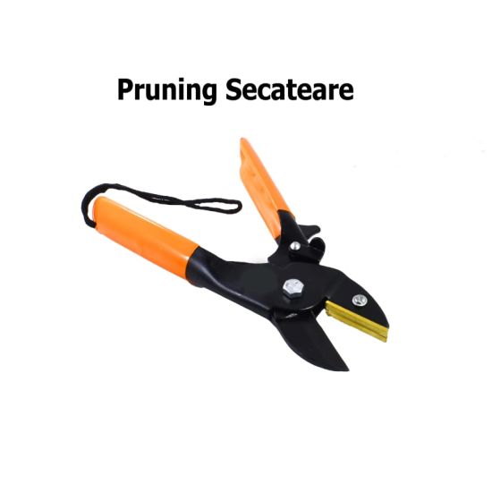 Pruning Secateur