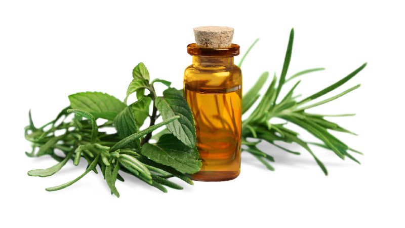 Tea Tree Essential Oil